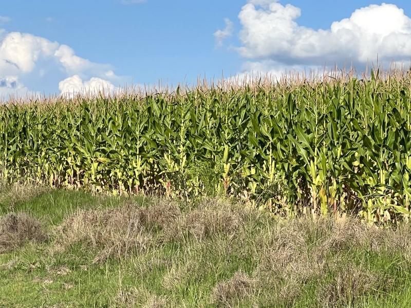 0 Bedroom Property for Sale in Bethlehem Rural Free State